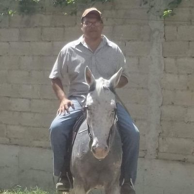 caralab30's profile picture. 