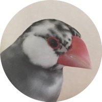 tomoka watanabe (@scentofmatin) 's Twitter Profile Photo