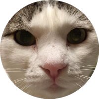 まちゃみ(ララ) (@20shirota) 's Twitter Profile Photo まちゃみ(ララ) (@20shirota) 's Twitter Profile Photo