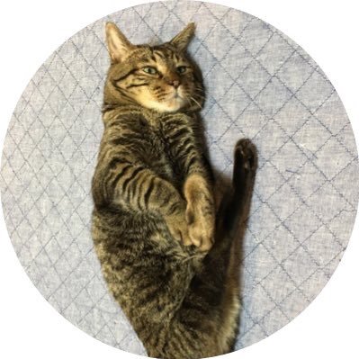ximei126's profile picture. ximeiは、しーめいと読みます。雪国出身。中国語好き。中検2級。HSH6級。三線弾き。オザケン好き。検索検定2級持ち(2016年度)。
