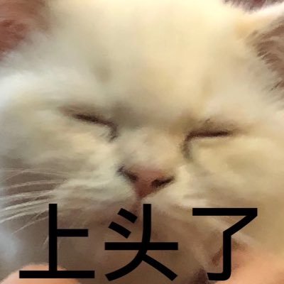 Timetogohome2's profile picture. 我是中国人