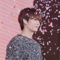 justvivian (@kim_vi_vi) 's Twitter Profile