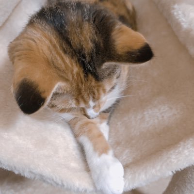 raaa_feet01's profile picture. BASKETBALL / 10-FEET