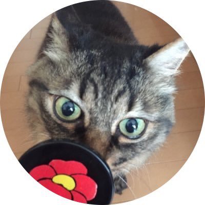 好きな音楽聴いたりLiveへ行くのが楽しみな者です☆☆愛猫・空･夜･漫画･遺跡・お酒。