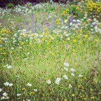 Westcountry-wide (@westcountrywide) 's Twitter Profile