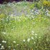 Westcountry-wide (@westcountrywide) Twitter profile photo Westcountry-wide (@westcountrywide) Twitter profile photo