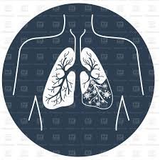 South Lakes Community Respiratory Team