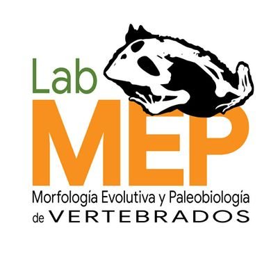 MEPLab - Lab. de Morfología Evolutiva y Paleobiología de Vertebrados (DBBE-FCEyN-UBA). Focus on skeletal evolution of frogs, snakes, and birds at @Exactas_UBA