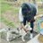 Pritish_raj's profile image
