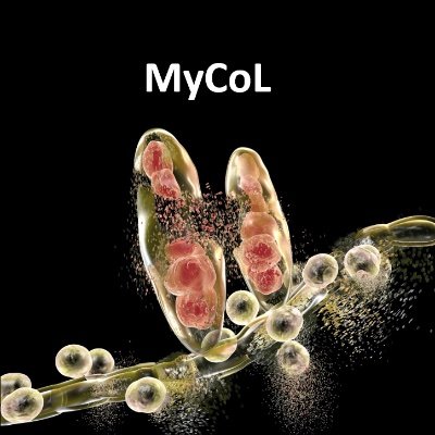MyCoL (Mycology Community of London). A network of researchers, academics, clinicians, podiatrists, students, etc. working in any area of mycology