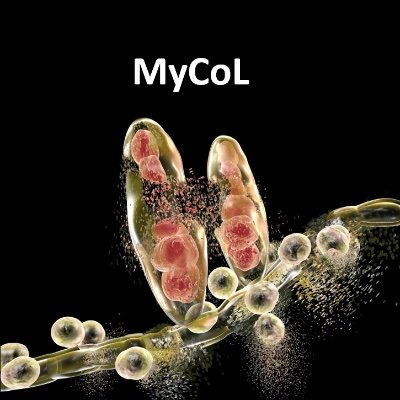 MyCoL (Mycology Community of London).  A network of researchers, academics, clinicians, podiatrists, students, etc. working in any area of mycology