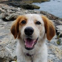 Jennifer Sisco (@jleesisco) 's Twitter Profile