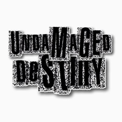 Undamaged Destiny