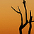 I've left this hellhole. May or may not delete this account in future. Find me on bluesky -- @imprecise-matt.bsky.social