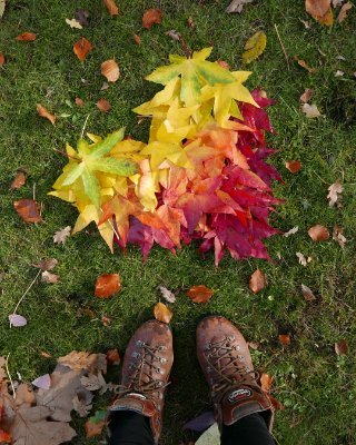 Childsplayabc is all about sharing our love of nature and conservation via free, fun activity ideas. Nature play, science, arts, crafts, sensory, recipies &more