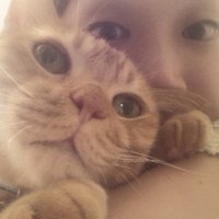 美森あいか (@aikamimori) 's Twitter Profile