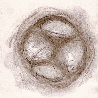 syngamyART's profile picture. ART laboratory and data consulting