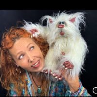 Pod Bears (@podbears) 's Twitter Profile