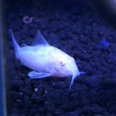 yuta20628021's profile picture. 東京 豊島区34歳 ♂ ときどき料理人です。最近の休みはシーシャ吸って過ごしてます。