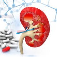 To prevent and treat kidney disease and to improve the lives of all individuals affected by glomerular disease