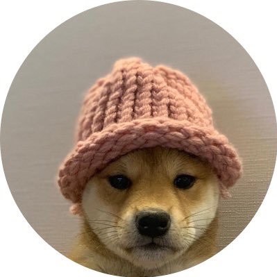 vicvan0's profile picture. 