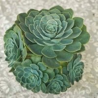 leporta (@leporta10) 's Twitter Profile Photo