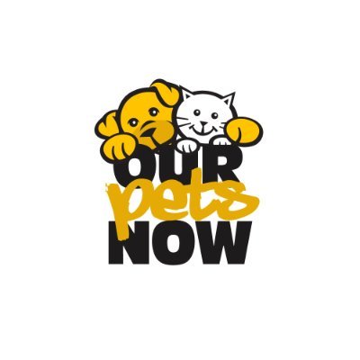We offer a carefully curated selection of high-quality pet products!