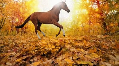 27Wildlife's profile picture. Distrito 4

Life is better when we cooperate!🍁🌻

Best crop in town🌱

Cosechando24/7