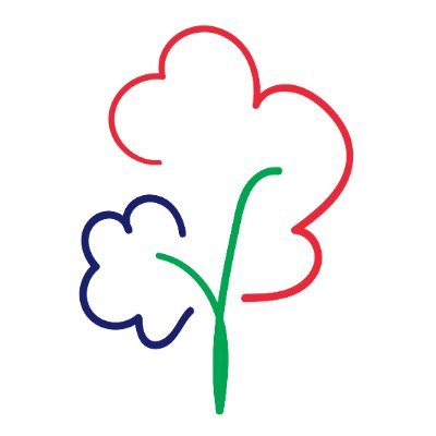 100KChallenge1's profile picture. A moonshot campaign planning to make history by planting 100,000 trees in 6 hours in Mauritius.