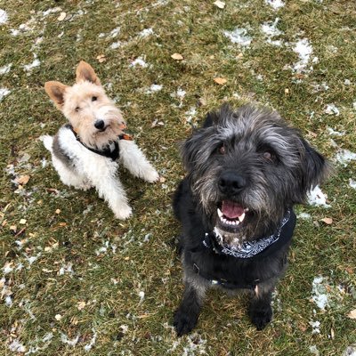 🇨🇦 Be honest, stand up to bullies, creeps and wrongfully elected presidents! I ❤️animals . ♻️☮️#BLM #FBR. Ukraine 🇺🇦 FOREVER! (DO YOUR RESEARCH!)