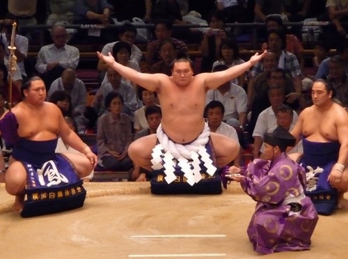 Sumo_news is an unoffical account that provides tournament result updates, links to latest news and other sumo related blogs, comments and information.