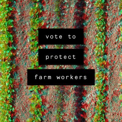 Providing information about the 2020 Presidential Candidates so that you can vote to protect farmworkers against pesticide exposure and unsafe work environments