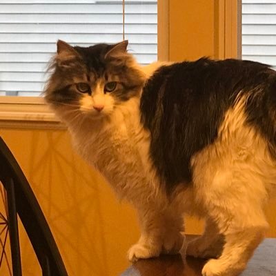 justineberk22's profile picture. 