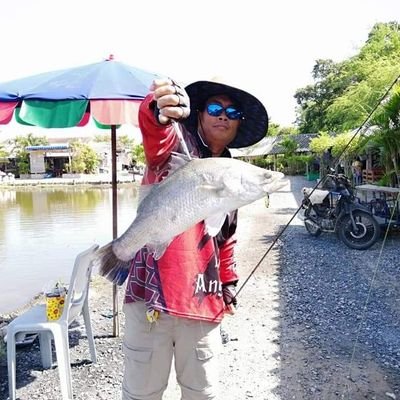 PLogion's profile picture. fishing