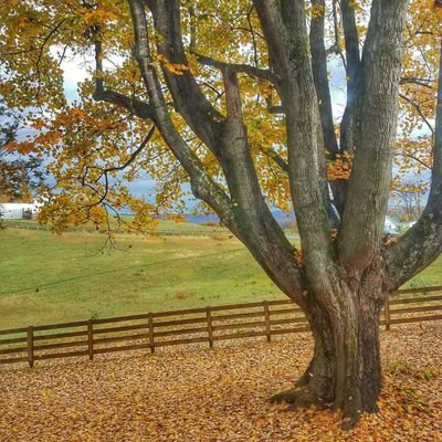 PamClarkHill1's profile picture. Movies Sports Entertainment Lifestyle