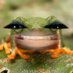 faze (@d2d03d9f217b41a) Twitter profile photo