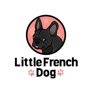 All about French Bulldogs