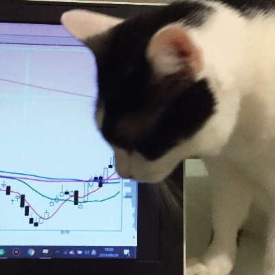 ２匹の猫飼い。株開始 2000年〜。2018年３月退職、現在無職。優待株は少しずつ整理して、優待クロスに切り替え。株塾生。トレード勉強中。