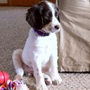 Charles Holm - @buckychachi - Twitter