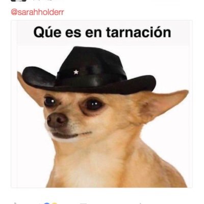 Trick_Toe's profile picture. Nobody knows what it means, but its provocative. #12thman