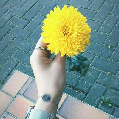 wpmlYA27Qm1U0Hi's profile picture. 