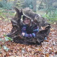 nicola baird (@nicolabairduk) Twitter profile photo