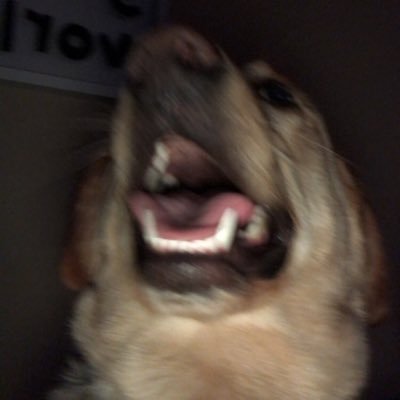 faqr47's profile picture. the best twitter account, follow me