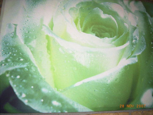 KMVNG's profile picture. 