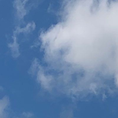 f_24365's profile picture. 某メディアにて動画や写真をやってます。 もともとスチル畑。日々学ぶことだらけです。 Photographer | Videographer | LUMIX S5IIX｜LPS会員