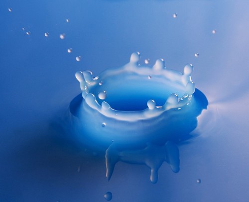 chorokmong's profile picture. 조중동이 신문이면 우리집 화장지는 팔만대장경이다 / 조중동 없는 사람사는 세상 / 조중동이 망해야 나라가 산다 / 조중동이 망하는 그 날 까지