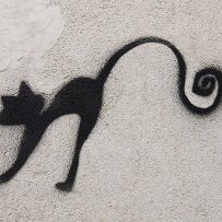 petit_mart's profile picture. 