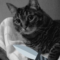 Отето жизнь (@kasinbatya) 's Twitter Profile Photo