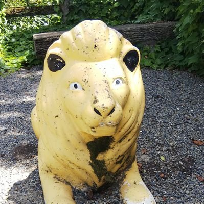 SwchkJp's profile picture. アカウント跡地