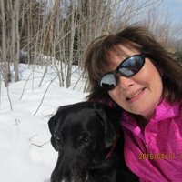 Deborah Chiasson - @DeborahChiasso3 Twitter Profile Photo